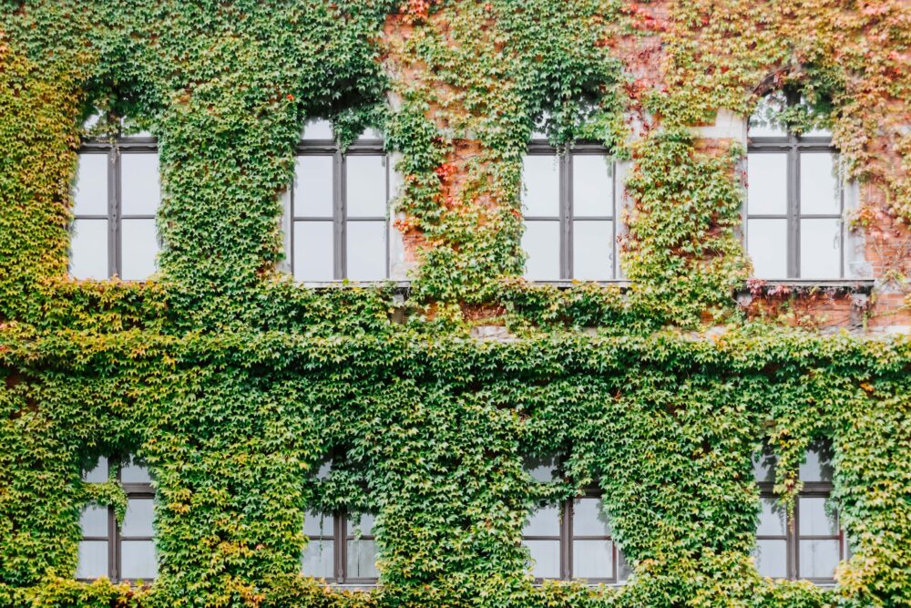 Mengenal Konsep Vertical Garden, Oase Hijau di Dinding Kota